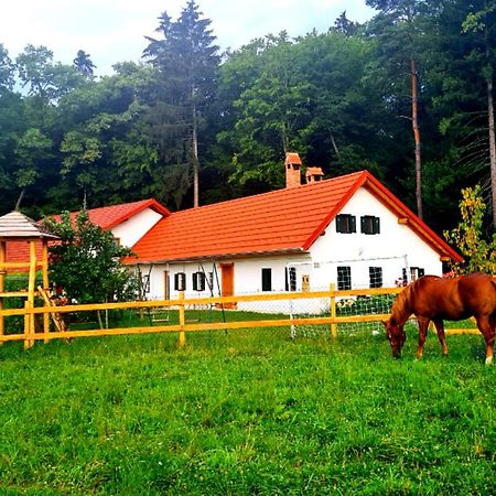 Turisticna Kmetija Hisa Ob Gozdu Pri Ptuju Villa Екстериор снимка