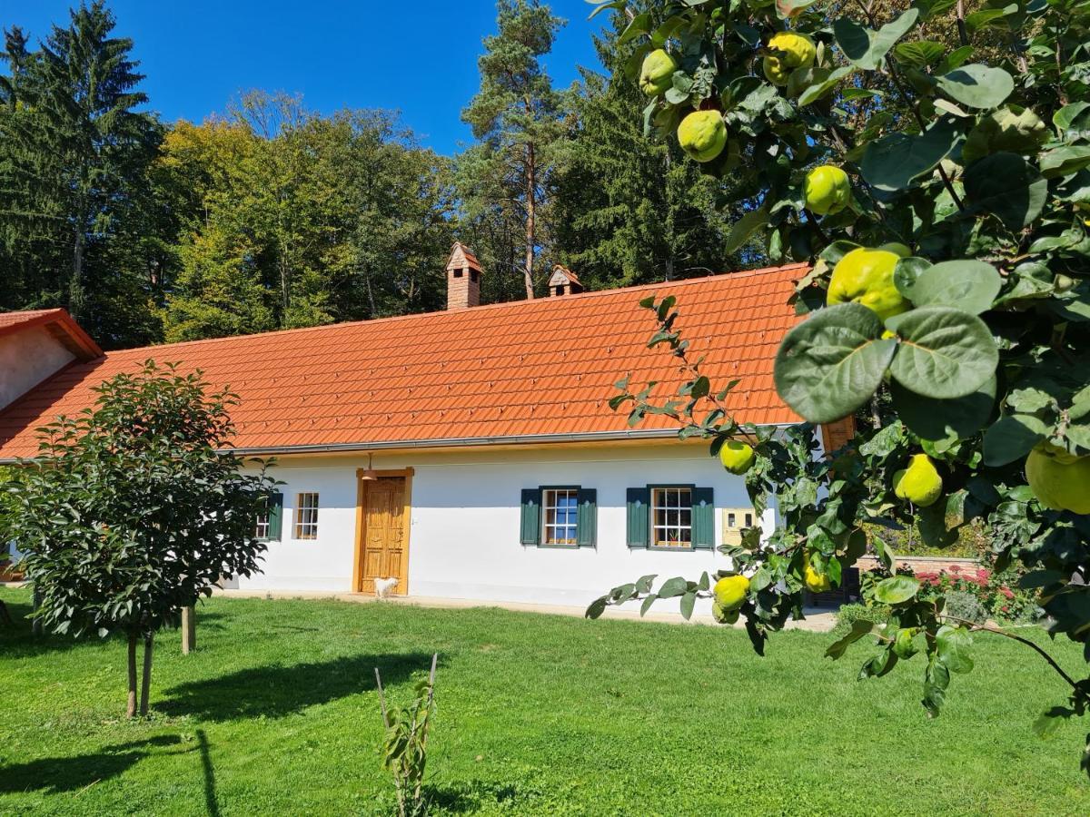 Turisticna Kmetija Hisa Ob Gozdu Pri Ptuju Villa Екстериор снимка