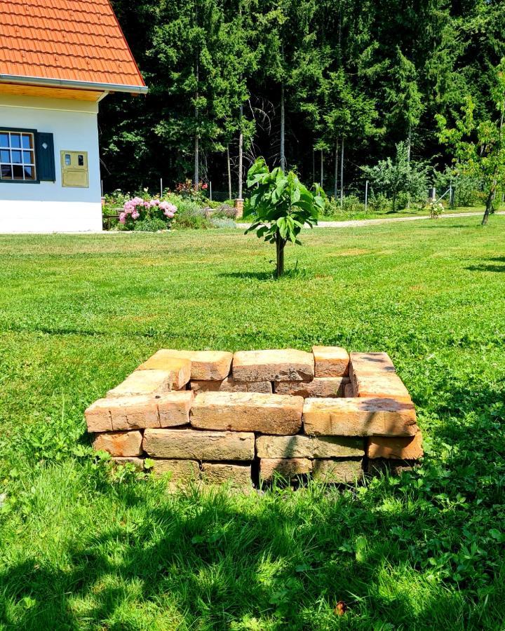 Turisticna Kmetija Hisa Ob Gozdu Pri Ptuju Villa Екстериор снимка