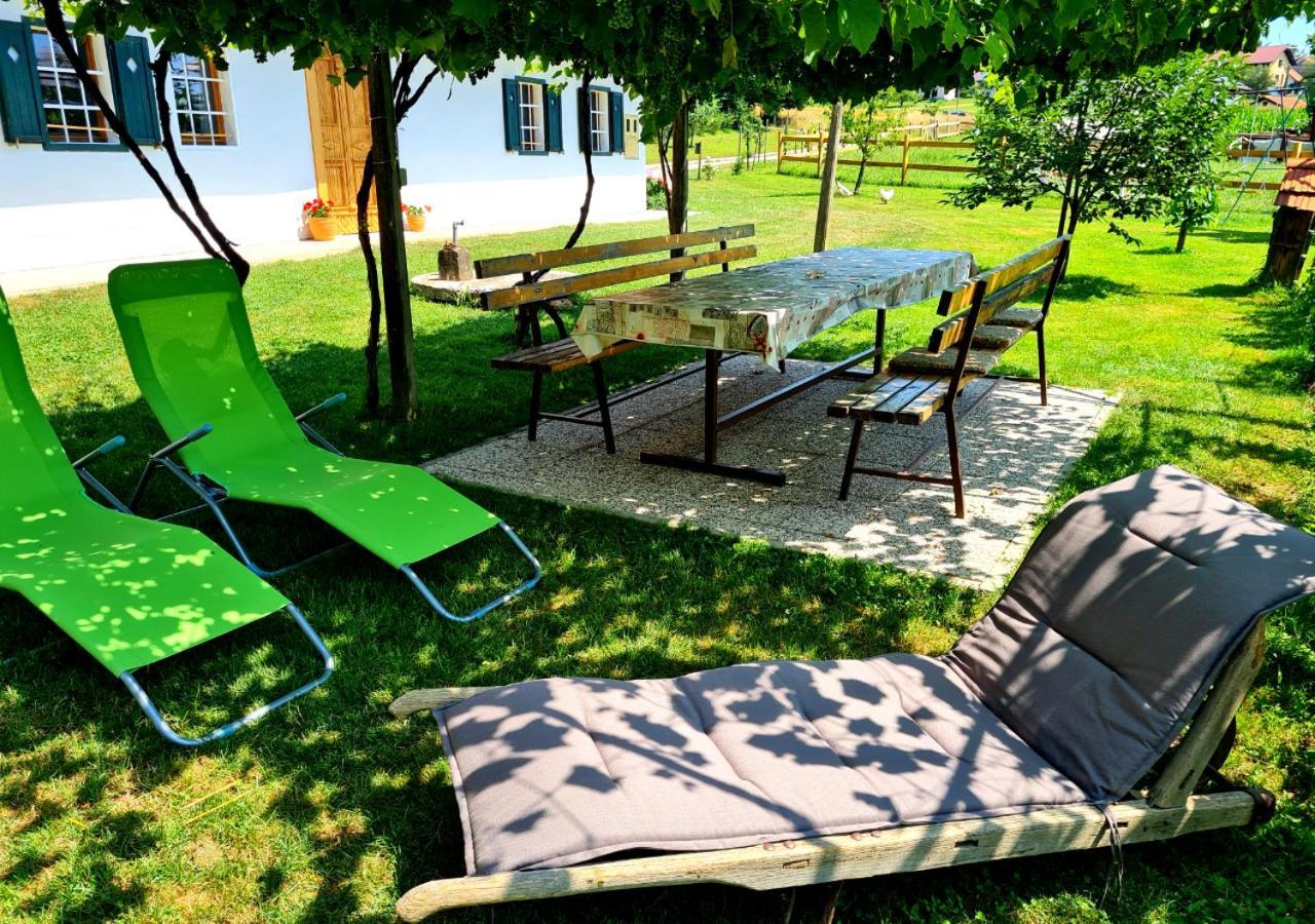 Turisticna Kmetija Hisa Ob Gozdu Pri Ptuju Villa Екстериор снимка