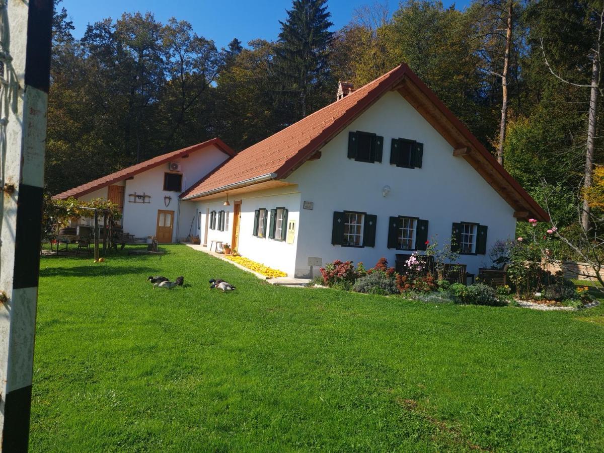 Turisticna Kmetija Hisa Ob Gozdu Pri Ptuju Villa Екстериор снимка