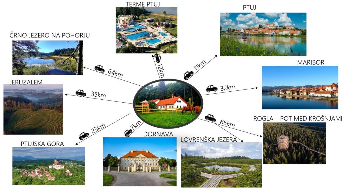 Turisticna Kmetija Hisa Ob Gozdu Pri Ptuju Villa Екстериор снимка
